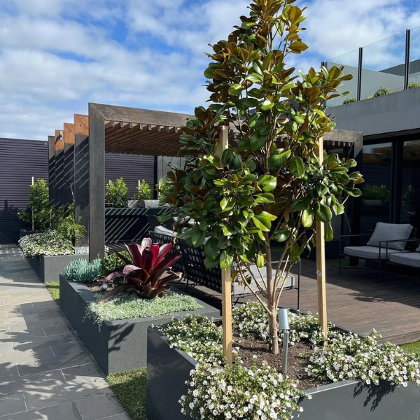 Commercial Landscaping