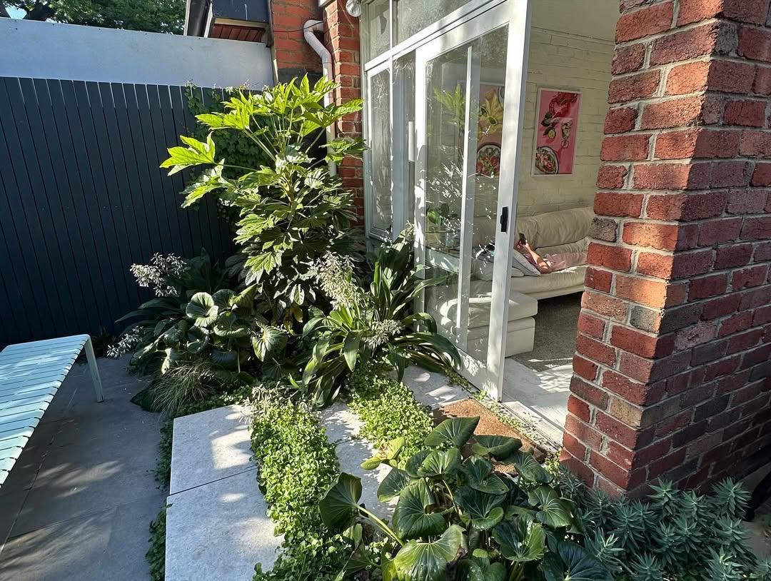 Fencing & Planting